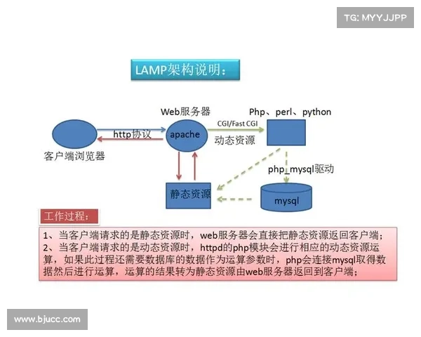 赛事服务组织架构(赛事服务组织架构全面构建策略与优化路径深度研究)
